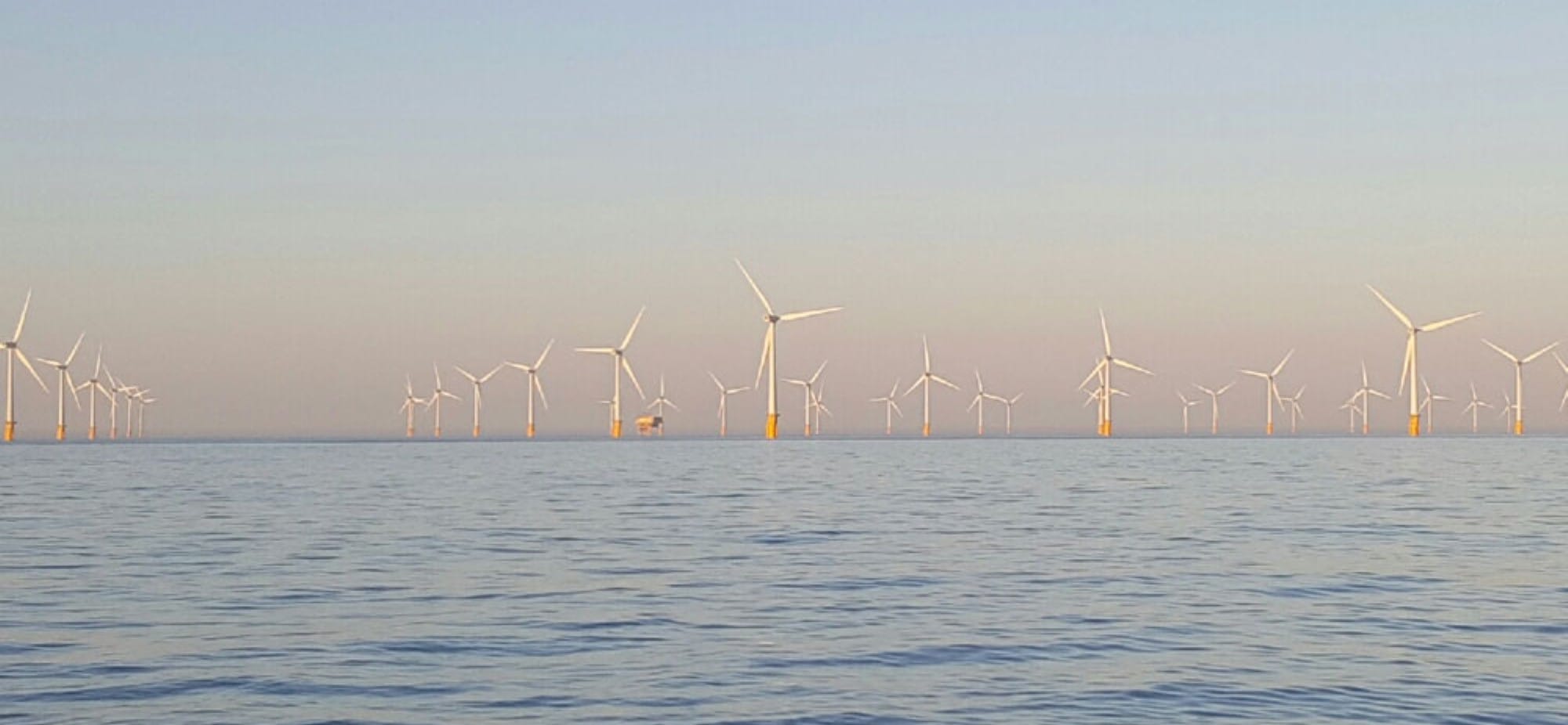 London Array Offshore Windfarm Benthic Monitoring | Ocean Ecology