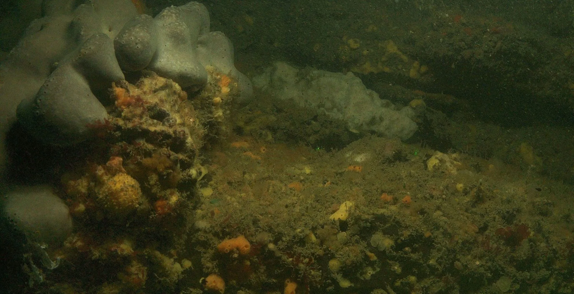 Picture of the seabed off North Wales
