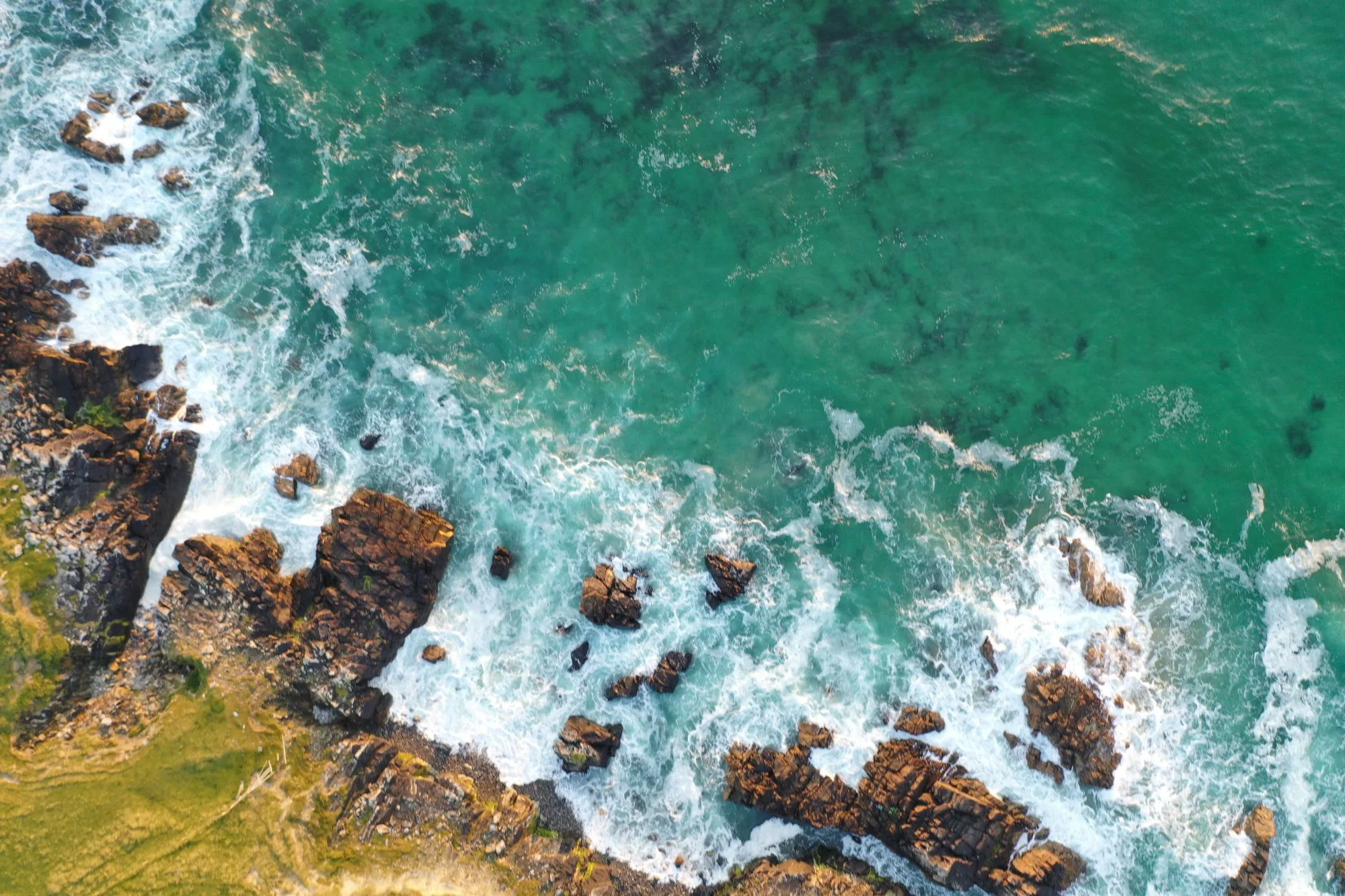 Aerial picture of the rocky shore in the survey area