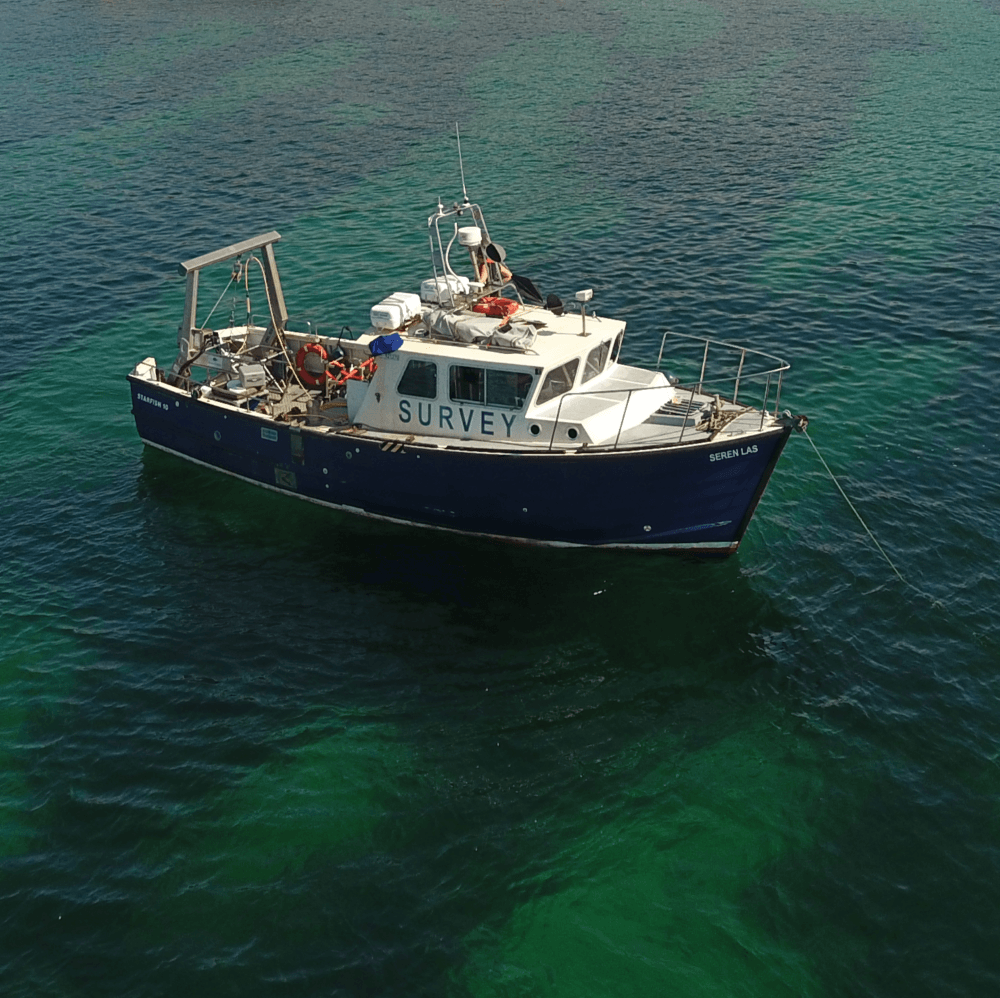 Picture of the boat Seren Las