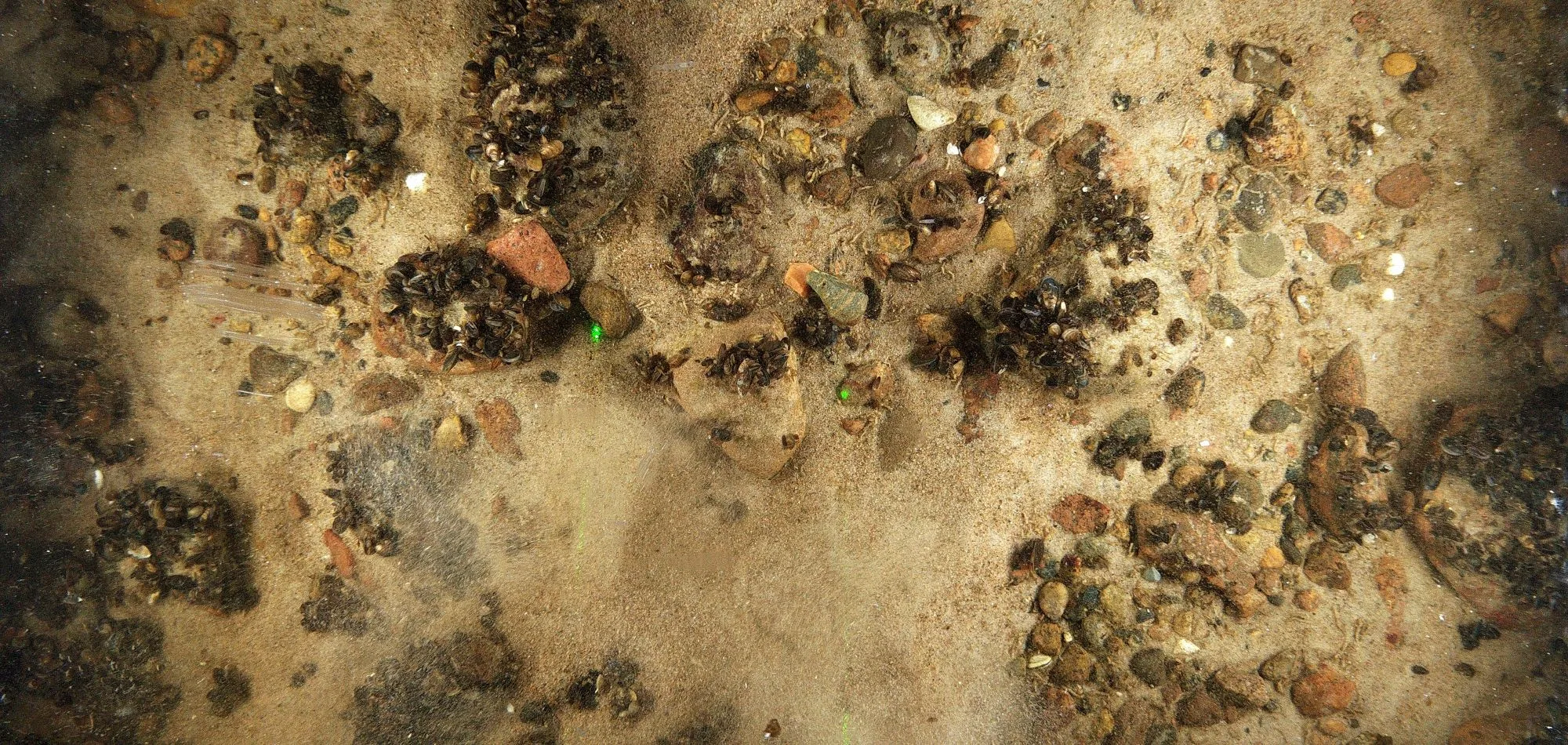 Picture of the seabed at Sodra Midsjobanken OWF