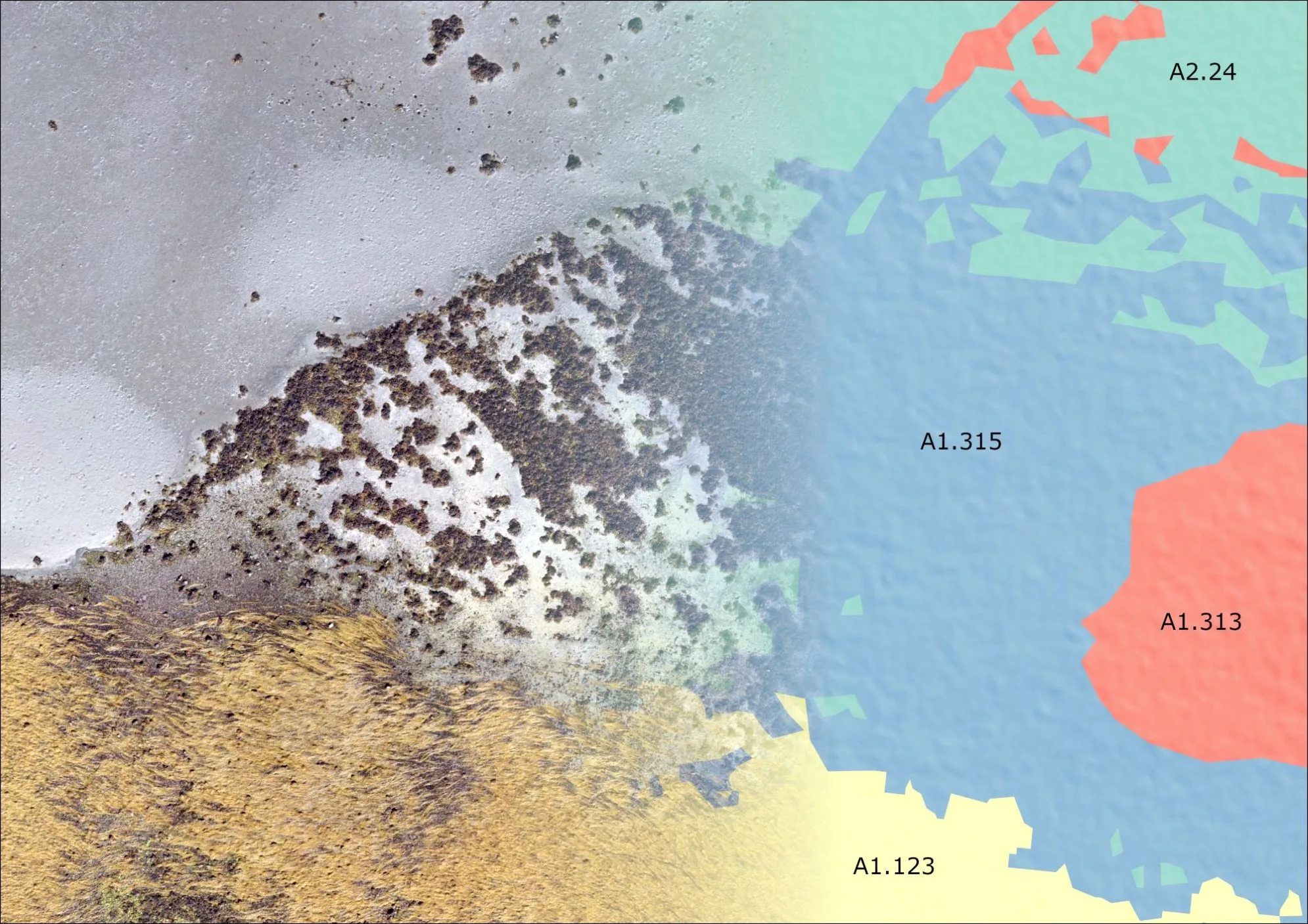 Picture showing the transition from an aerial photograph to a habitat map