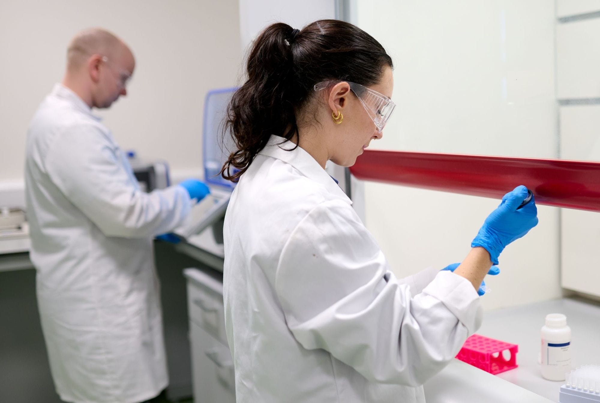 Picture of two common dolphins leaping from the water